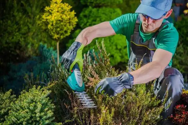 landscaping services Wellington